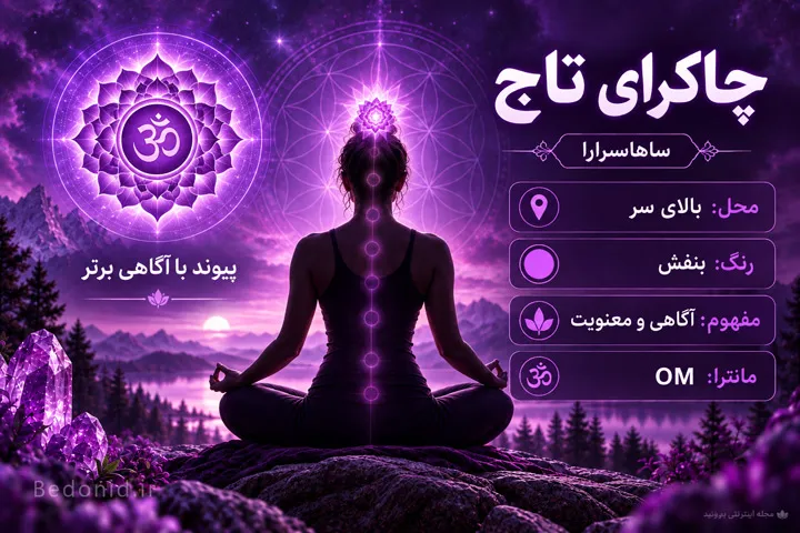 اینفوگرافی چاکرای تاج ساهاسرارا با رنگ بنفش در بالای سر