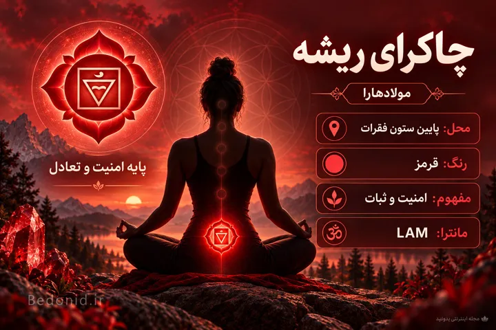 اینفوگرافی چاکرای ریشه مولادهارا با رنگ قرمز و محل آن در پایین ستون فقرات