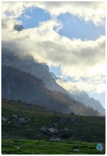 جنگل سوادکوه مازندران