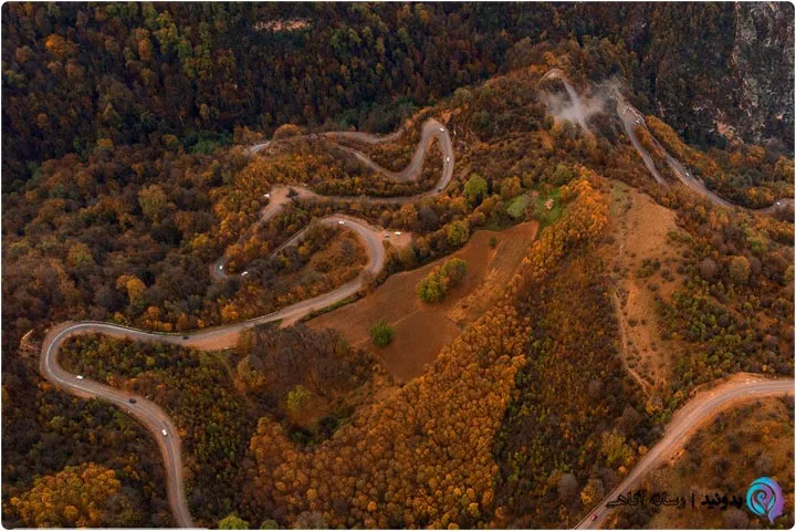 جنگل توسکستان