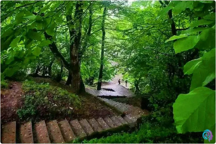 پارک جنگلی نور