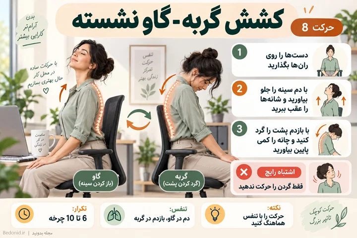 حرکت گربه گاو یوگا به صورت نشسته روی صندلی