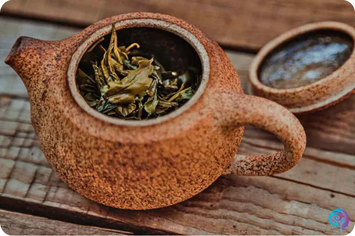 چای سبز را چگونه دم کنیم؟